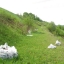 Берега реки Быгель уберут от мусора