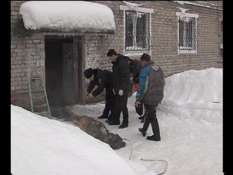 Мужчина сварился в кипятке в подвале березниковского дома