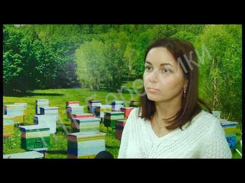 1101 выпуск Новости ТНТ Березники 14 октября 2016