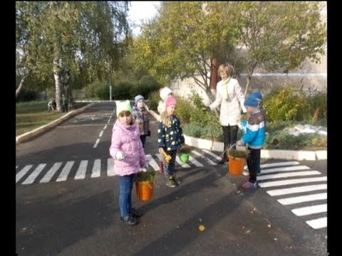 Детский сад №6 из Березников стал призёром конкурса "Зеленая Россия"