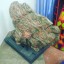 #bergorod