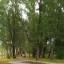Березники осенью