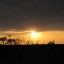 Природа