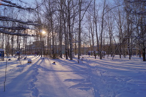 Зима в гороском парке