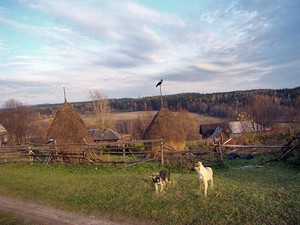 Пермяковский вечер