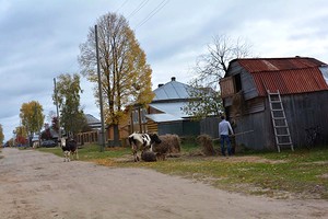 Осенние хлопоты