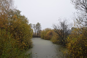 Пруд в Березниках