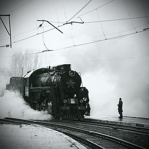 Поезд победы. г.Березники